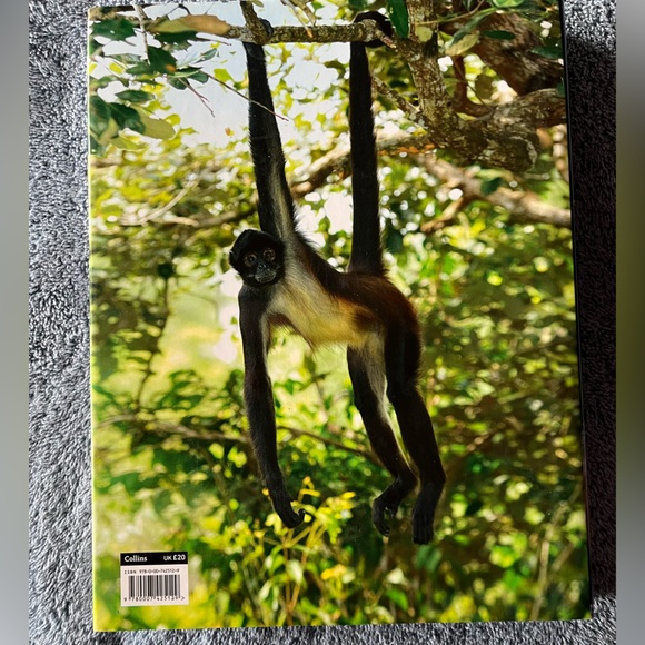 David Attenborough - New Life Stories (hardcover book) - Picture 2 of 3